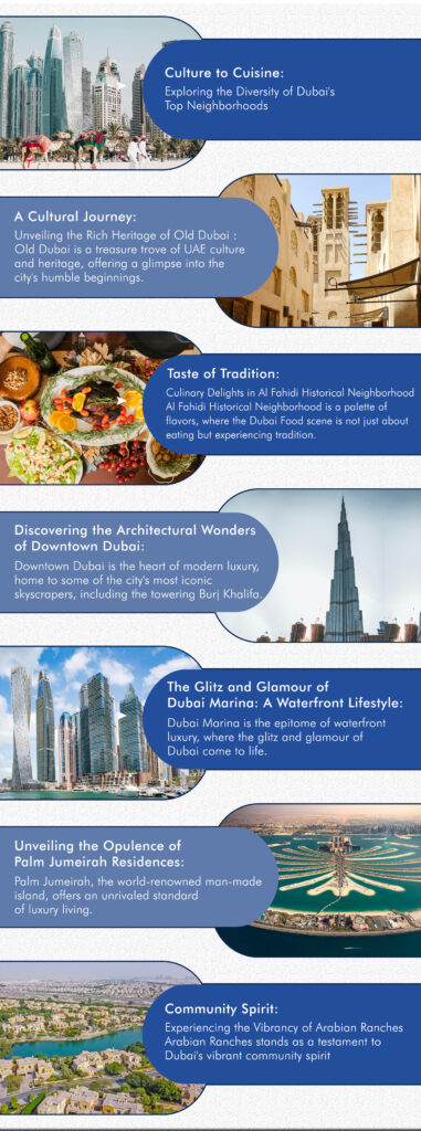 Exploring the diversity of Dubai's top neighbourhoods infographic